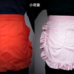 Apron0003