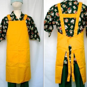 Apron0008