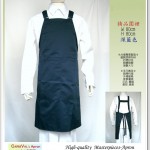 Apron0017